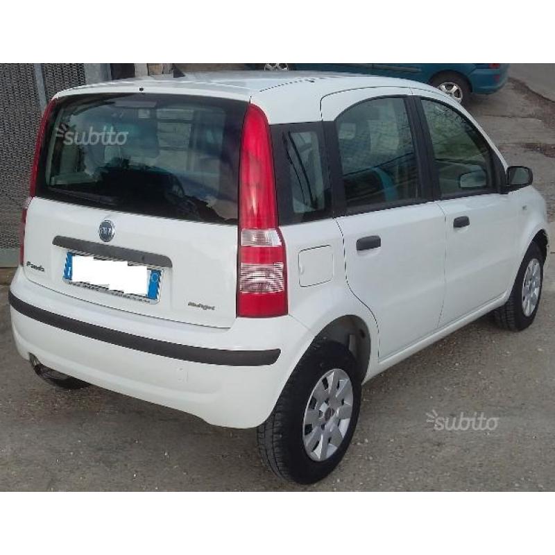 Fiat Panda 1.3 Mjet Dynamic N1