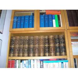 Enciclopedia Meyers 1890 - 21 volumi buono stato