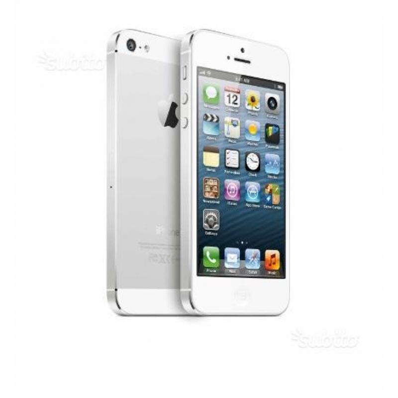 IPhone 5 - 16Gb bianco